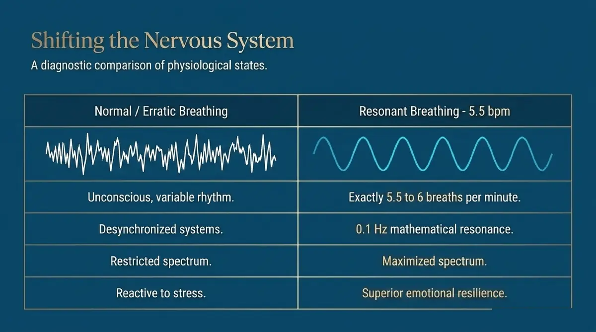 Shifting the Nervous System Diagnostic Comparison Infographic 3