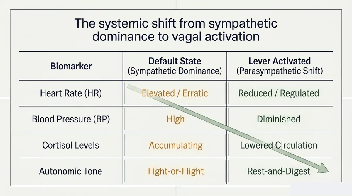 Sympathetic Dominance to Vagal Activation Shift Infographic 3